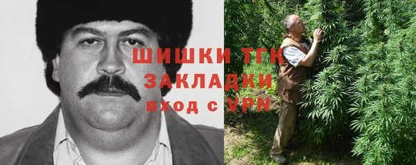 спайс Арсеньев